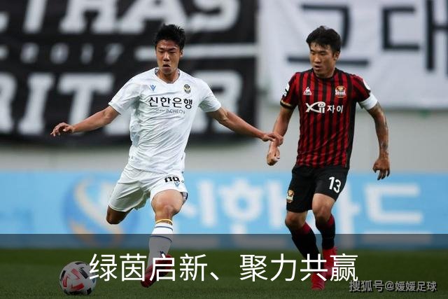 绿茵启新、聚力共赢
